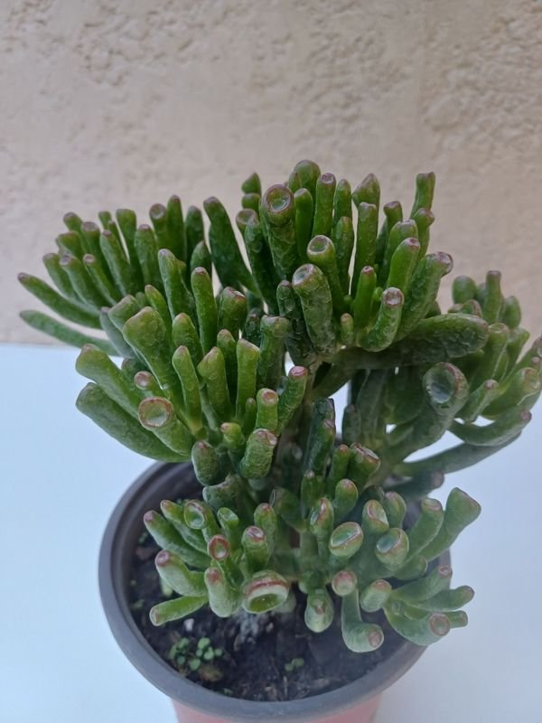 Item 875542 - Image 1