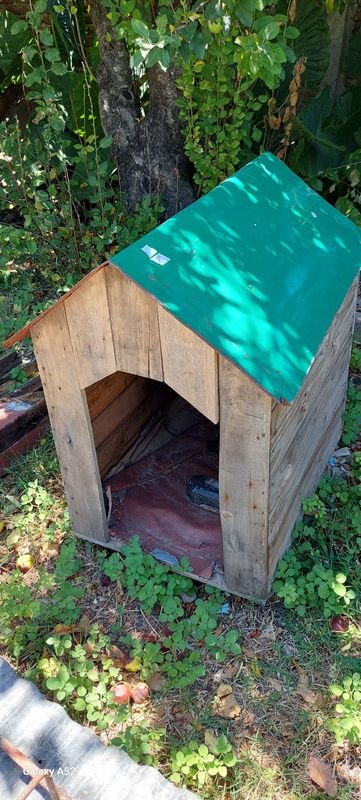 Casa de perro en madera con techo verde