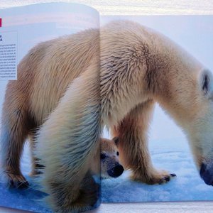 Lote de 4 Revistas Muy Interesante - Divulgación Científica - imagen 4