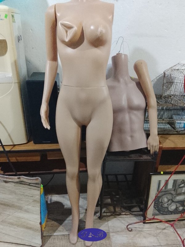 Maniquí Femenino Completo y Medio Maniquí Torso Masculino