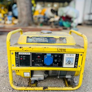 Lote anterior: Generador Forest Garden 3.5 HP Amarillo