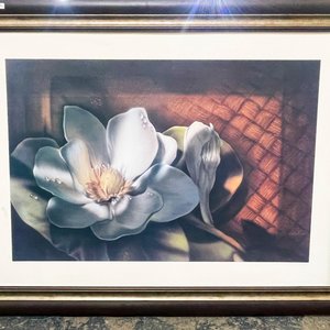 Item 607933 - Image 0