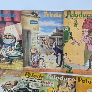 Colección de 24 Revistas Peloduro - Año 1964 - imagen 4