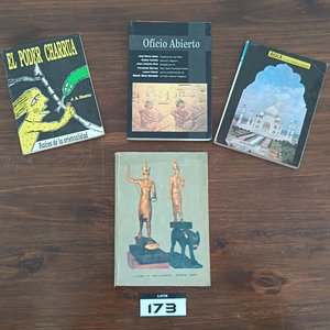 Conjunto de Libros: El Poder Charrúa, Túpac Amaru, Oficio Abierto, Paradigmas (3 tomos), Guías de India e Irak, Urbanidad y Buenas Maneras - imagen 2