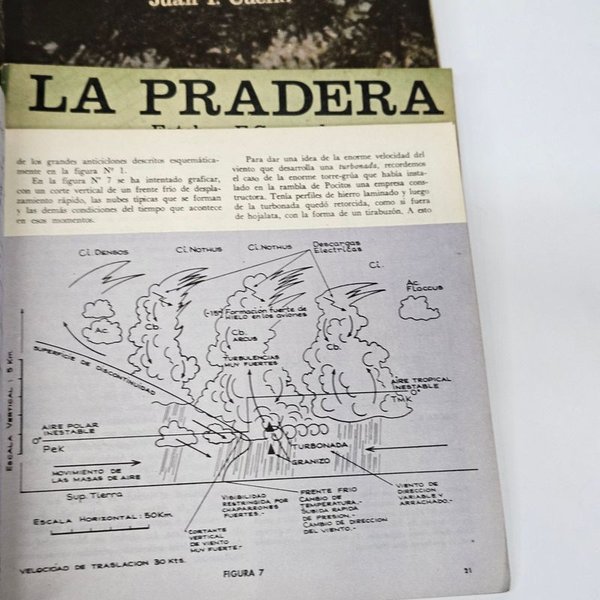 Libros sobre temas del Uruguay - imagen 4