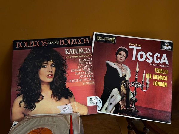 Vinilos de varios artistas género popular son 8 discos - imagen 1