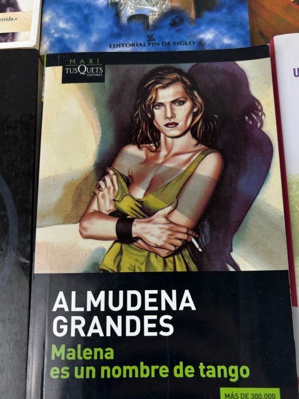 Colección de libros clásicos y novelas - imagen 8