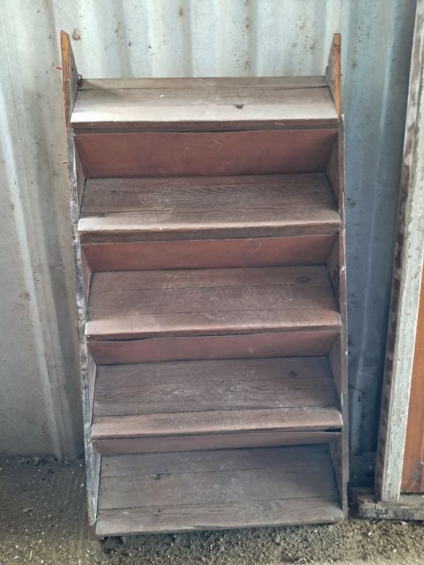 Escalera Plegable de 5 Escalones en Pinotea - 1 Metro de Altura