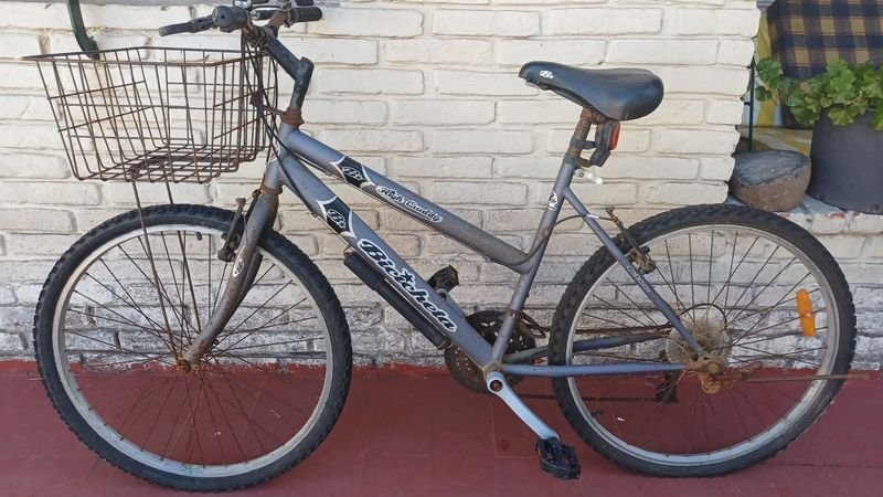 Lote anterior: Bicicleta Rodado 21 - Bicicletas de alta calidad