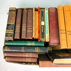 Lote de Libros Antiguos y Modernos Variados - imagen 4