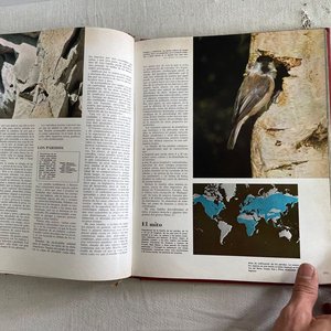 Enciclopedia de los Animales - Volumen Cuarto - imagen 8