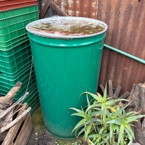 Lote siguiente: Tarrina verde con tapa