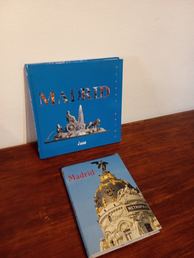 Libros sobre Madrid con ilustraciones y imágenes - imagen 2