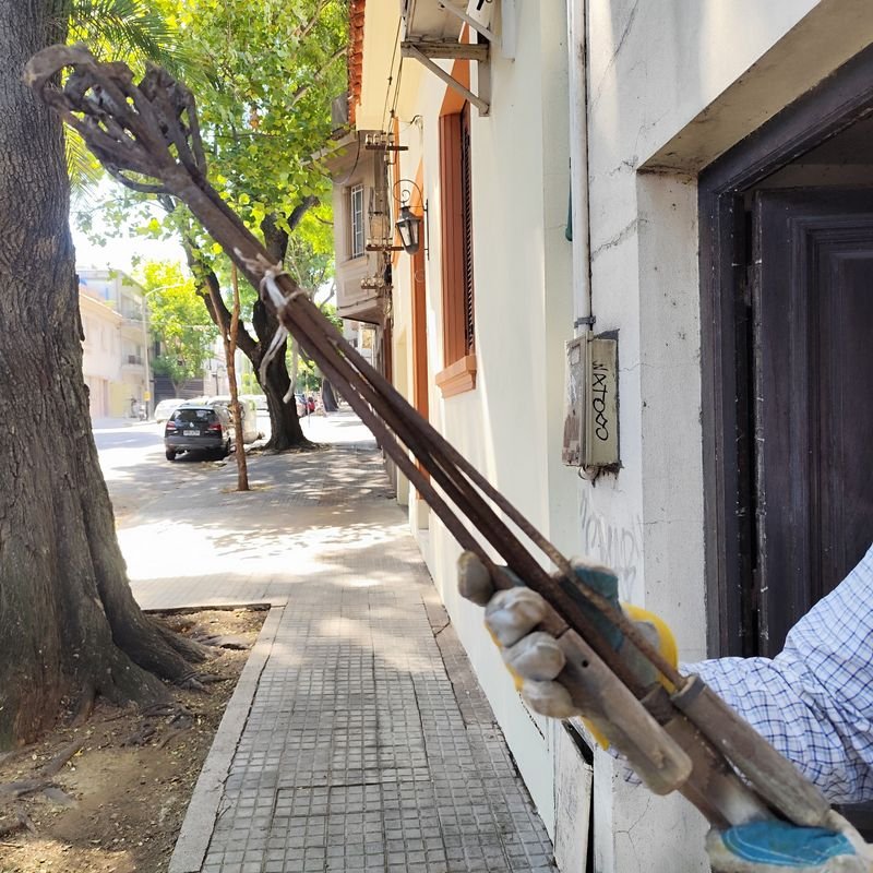 Item 880266 - Image 0