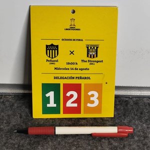 Pase Delegación Peñarol Copa Libertadores 2019 - imagen 1