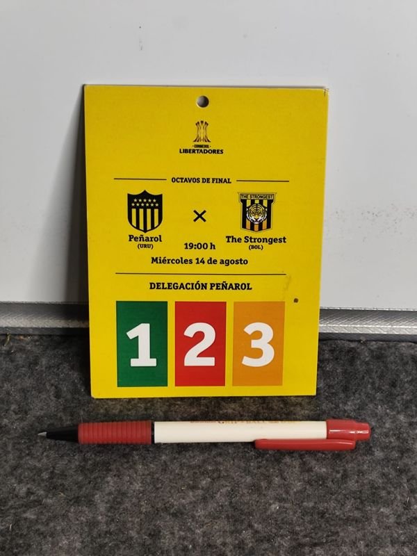 Pase Delegación Peñarol Copa Libertadores 2019