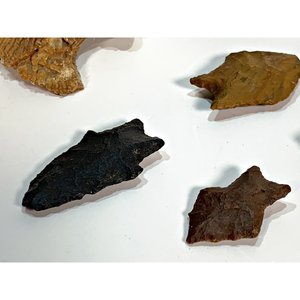 Conjunto de 7 Puntas de Lanza en Piedra y Fósiles Marinos - imagen 4