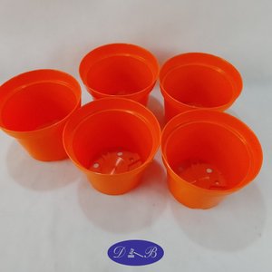 Lote siguiente: 5 Macetas Plásticas Naranja 14 cm
