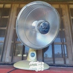 Estufa Eléctrica Calefactora con Resistencia Funcional