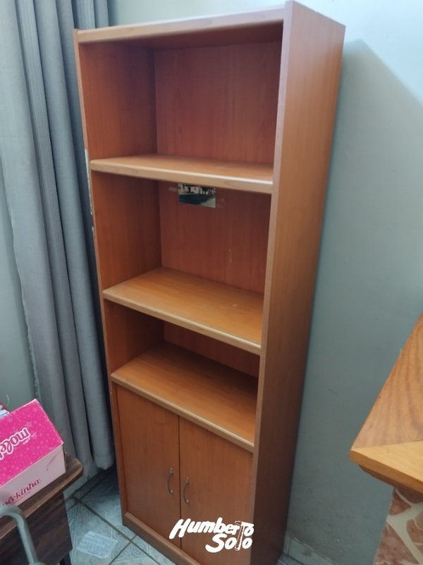 Estantería de madera con dos puertas inferiores