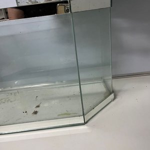 Dos Peceras de Vidrio: Hexagonal y Rectangular con Decoración - imagen 4