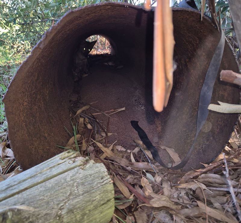 Tuberías de riego en hierro para jardinería - imagen 4