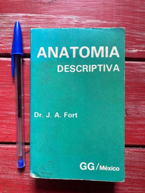 Item 872485 - Image 0