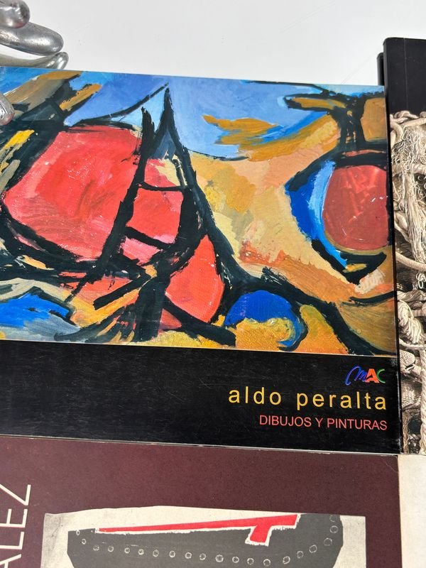 Colección de libros sobre arte y diseño: catálogos, pintura contemporánea y patrimonio cultural - imagen 4