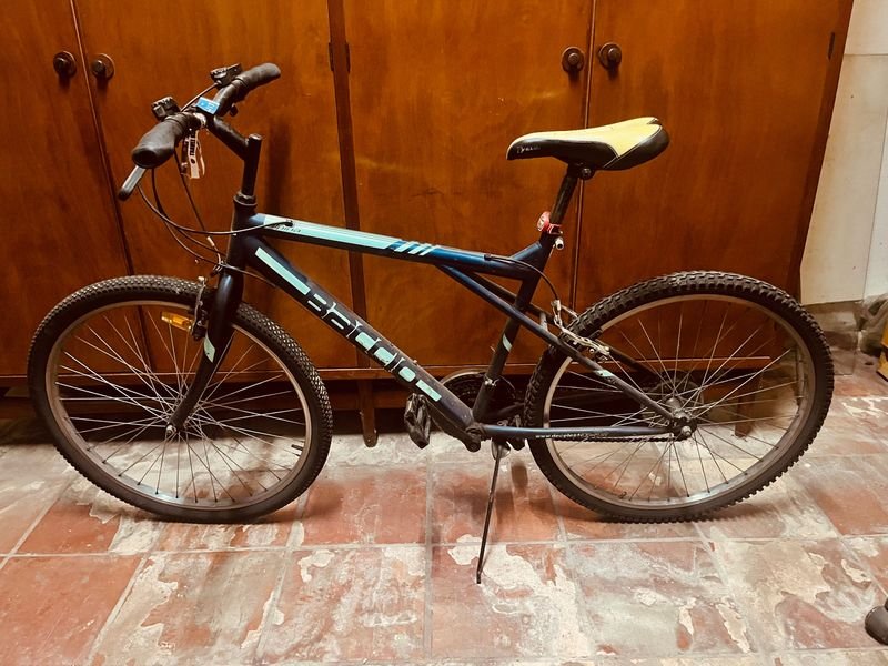 Bicicleta de Montaña Baccio Alpina Rod 26