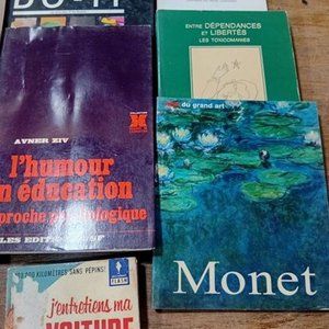 Lote de Libros Variados: Idiomas, Revistas y Más - imagen 7