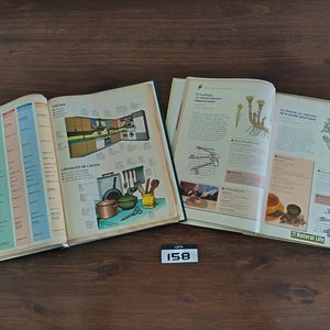 Lote de Libros: Enciclopedia Medicina Natural, Diccionario Multilingüe, Almanaques y Revistas - imagen 3