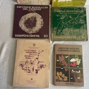 Lote de Libros: Manualidades, Agronomía, Plantas Medicinales y Recursos Minerales - imagen 3