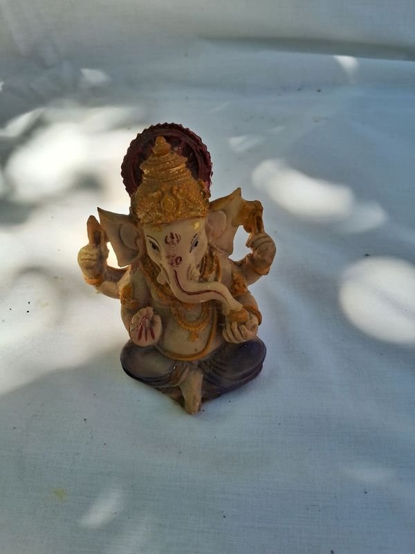 Item 869532 - Image 2