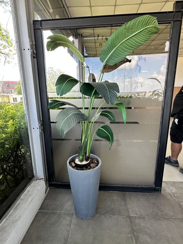 Item 904259 - Image 0