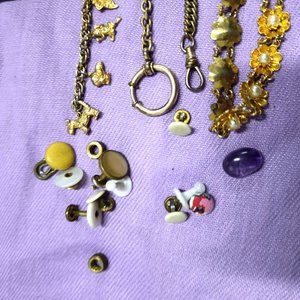 Lote de Prendedores, Pulseras y Dijes Variados - imagen 4