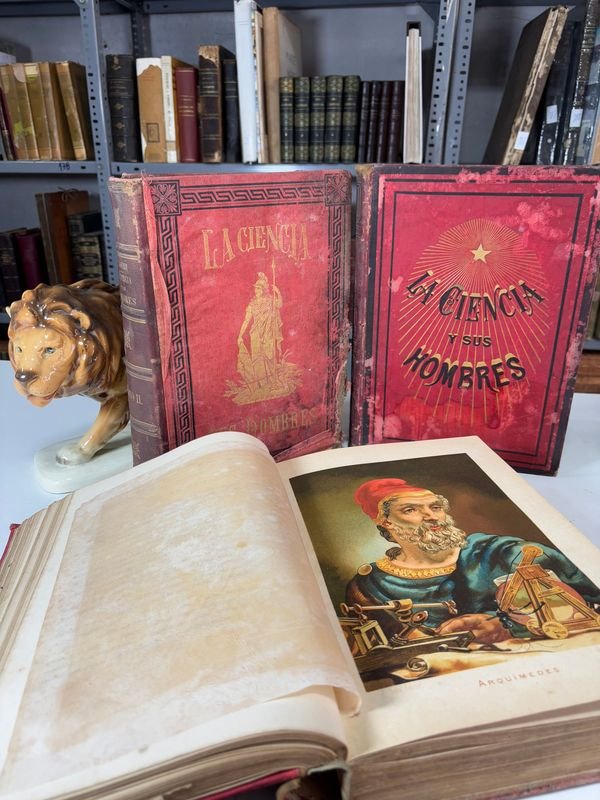 Item 879452 - Image 2