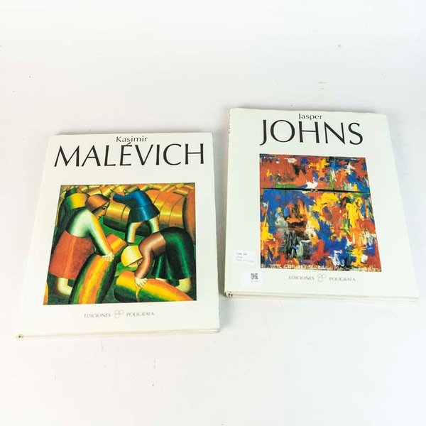 Dos Libros de Arte: Jasper Johns y Kasimir Malévich, Tapa Dura