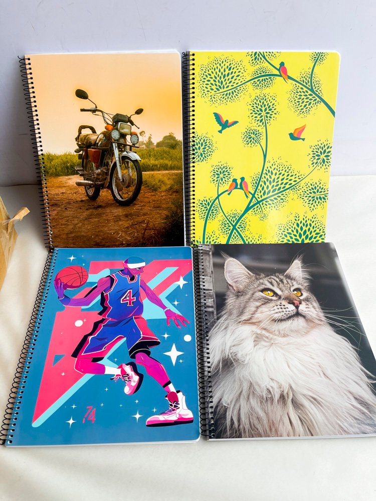 Item 502541 - Image 1