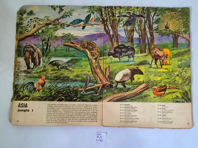 Item 844753 - Image 6