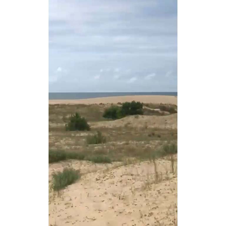 Item 2097793 - Image 3