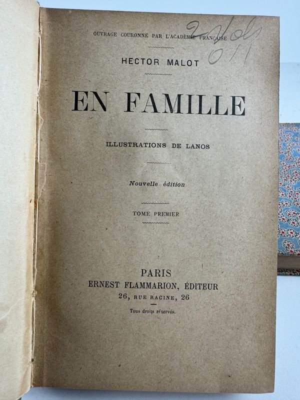 Libro clásico de Hector Malot - Par de tomos En familia - imagen 2