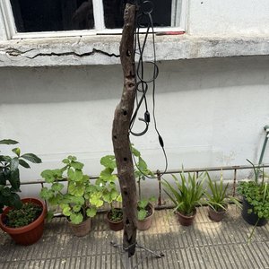 Lámpara de Pie Artesanal con Tronco y Hierro - imagen 2