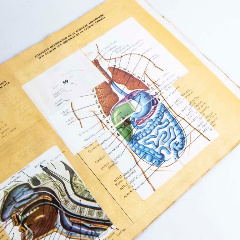 Item 2097705 - Image 1