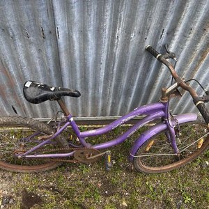 Lote anterior: Bicicleta Violeta "Graciela" para Niña/Dama