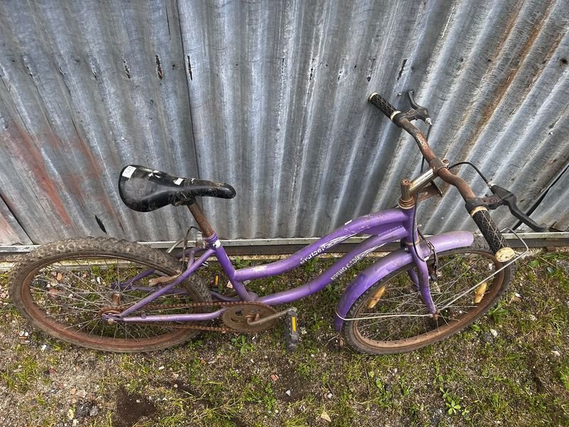 Bicicleta Violeta "Graciela" para Niña/Dama