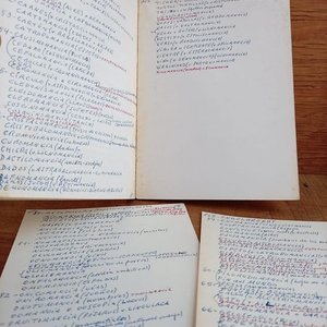 Diccionario de Profecías y Profetas (Primera Edición Limitada) por Santiago Collin de Planci - imagen 2