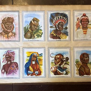 Álbumes "Vida y Color" Colección Enciclopédica Ilustrada - imagen 2
