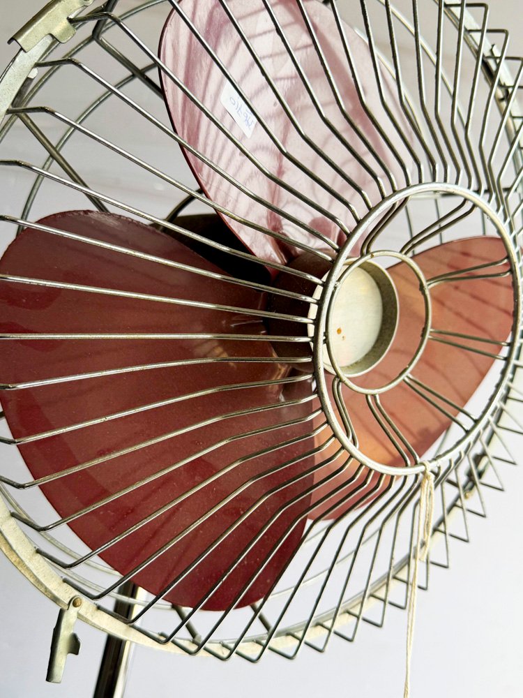 Máquina de escribir y ventiladores vintage - imagen 3