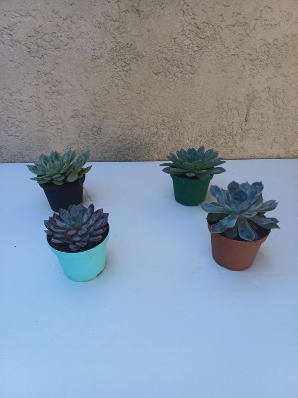 Item 875540 - Image 0