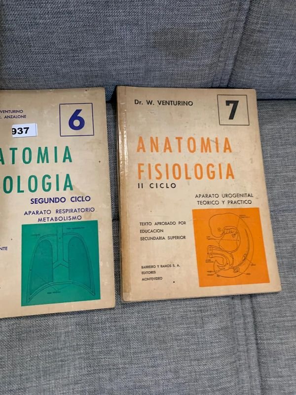 Item 898194 - Image 3